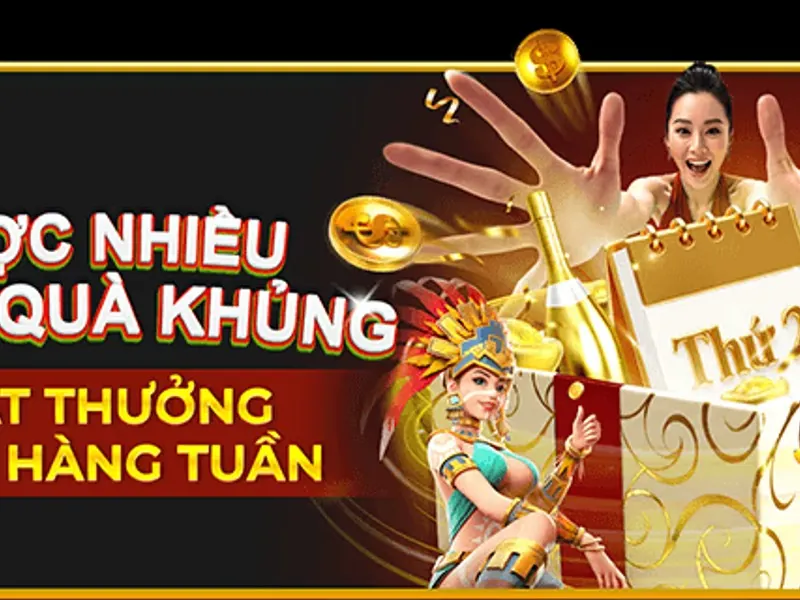 Hoàn trả hàng tuần df999